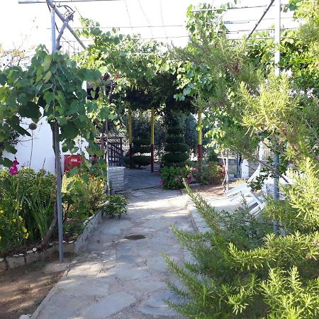Studio Zoi Villa Alikí Exterior foto